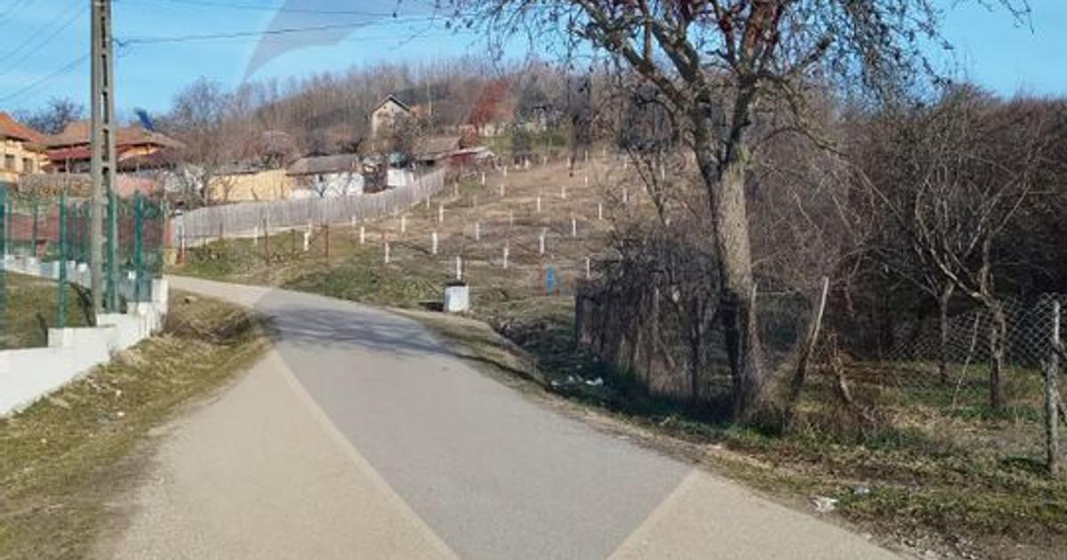 Teren agricol intravilan de 1736 mp, în Chițești