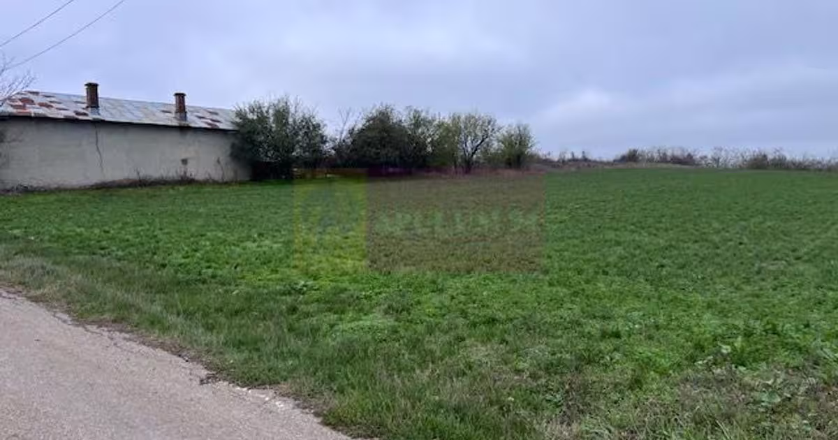 Teren agricol intravilan de 5000 mp, în Comana