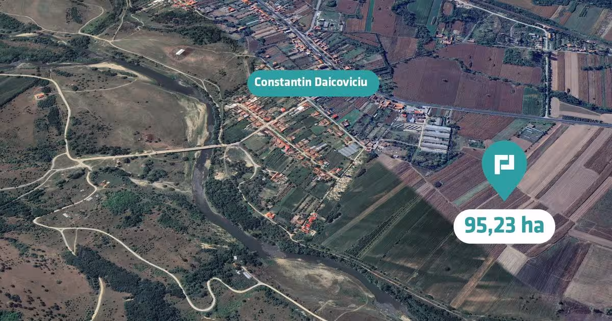 Teren agricol extravilan de 952372 mp, în Constantin Daicoviciu