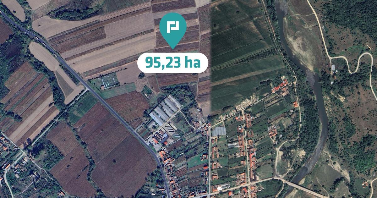 Teren agricol extravilan de 952372 mp, în Constantin Daicoviciu