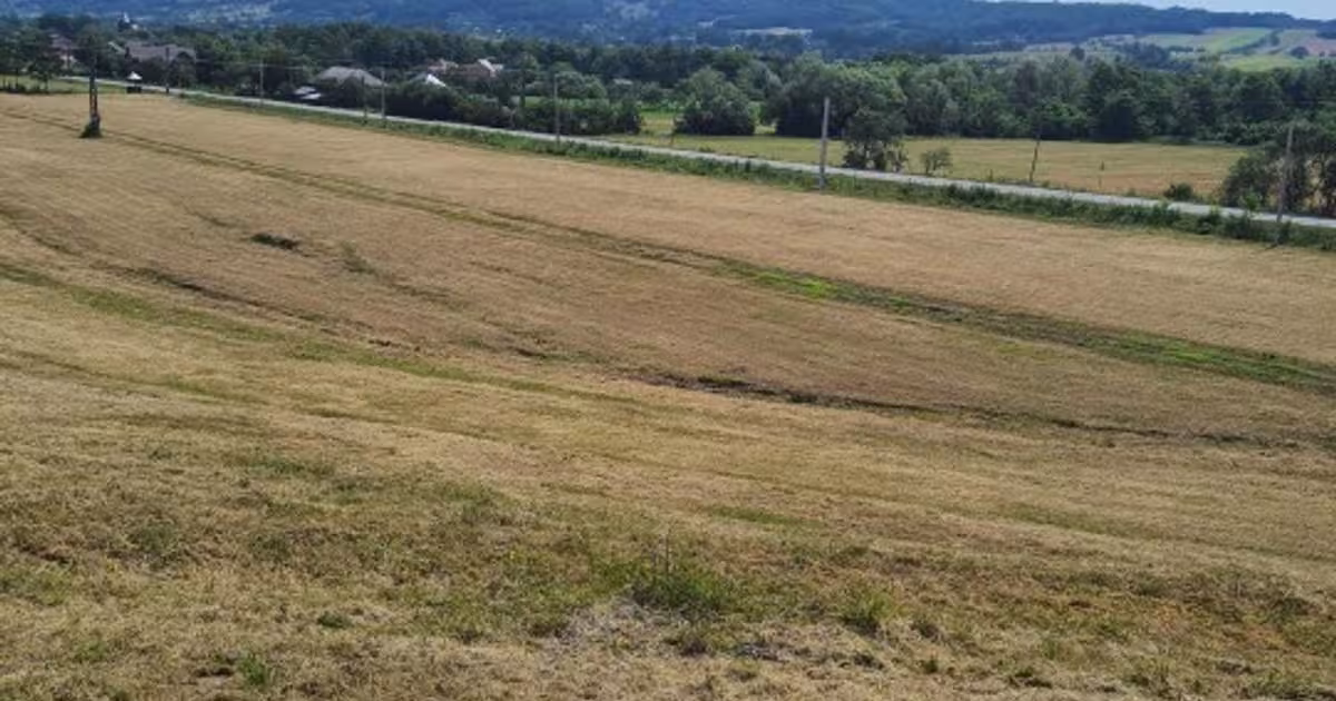 Teren agricol intravilan de 60000 mp, în Copalnic-Mănăștur