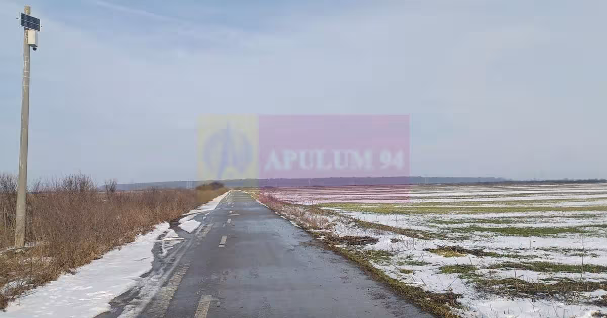 Teren agricol intravilan de 7600 mp, în Cosoba