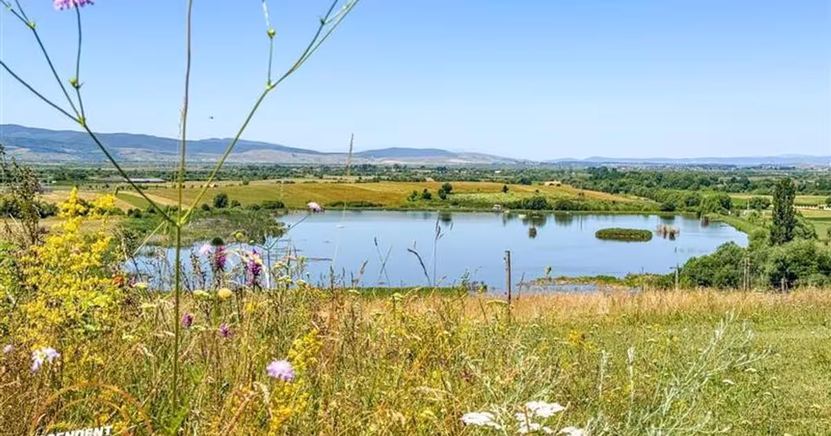 Teren agricol extravilan de 14000 mp, în zona Periferie, Covasna