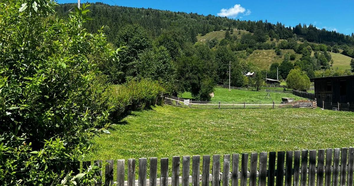 Teren agricol intravilan de 1200 mp, în Crăiești