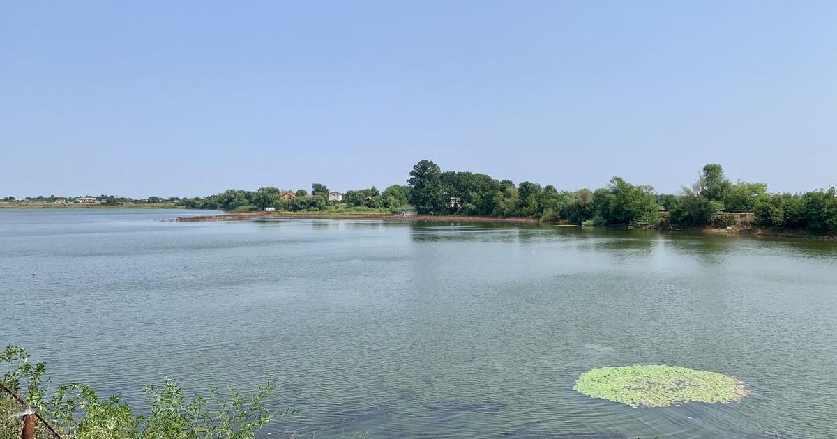 Teren agricol intravilan de 45000 mp, în Crevedia