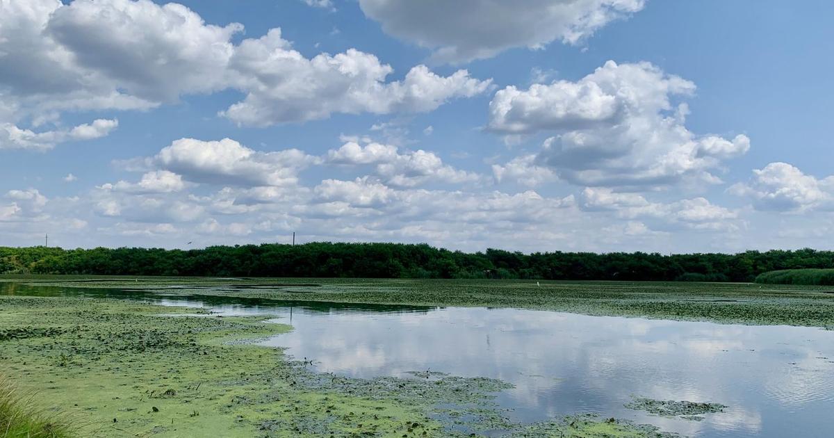 Teren agricol intravilan de 62000 mp, în Crevedia