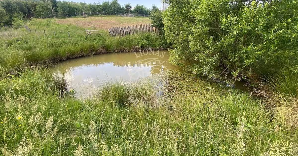 Teren agricol extravilan de 6500 mp, în Cușma