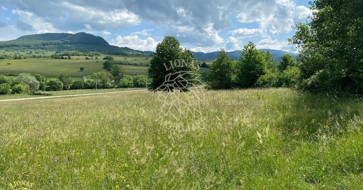 Teren agricol extravilan de 6500 mp, în Cușma