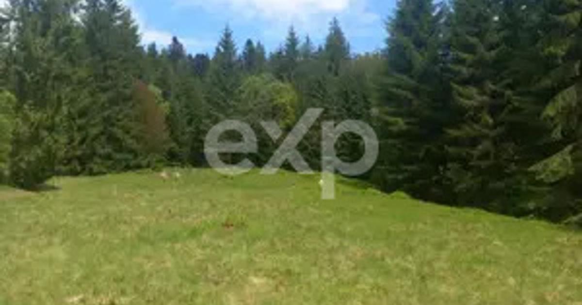 Teren agricol intravilan de 4000 mp, în Dorna-Arini