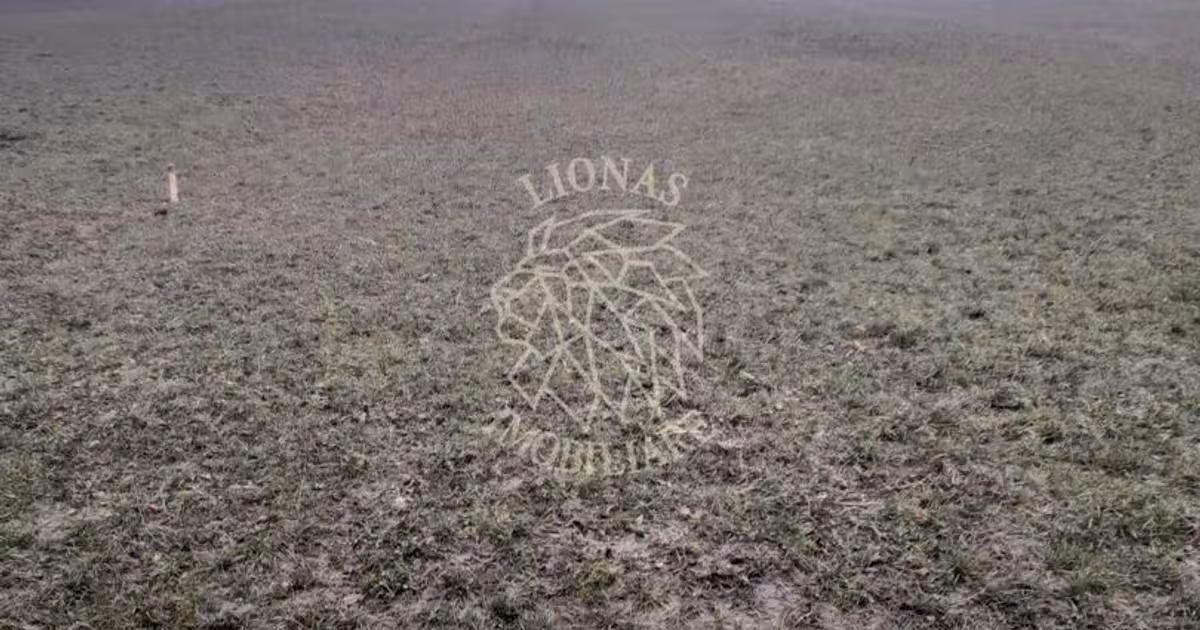 Teren agricol extravilan de 1698 mp, în Dumitrița