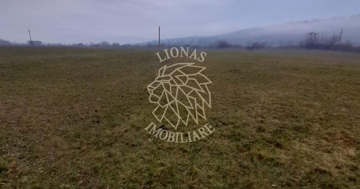 Teren agricol extravilan de 1698 mp, în Dumitrița