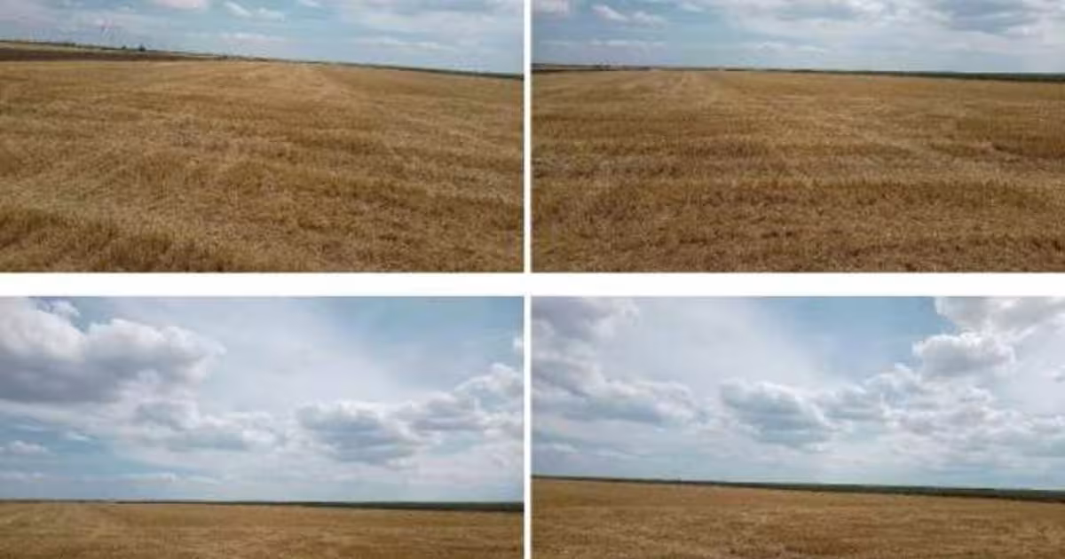 Teren agricol extravilan de 22810 mp, în Frumușani