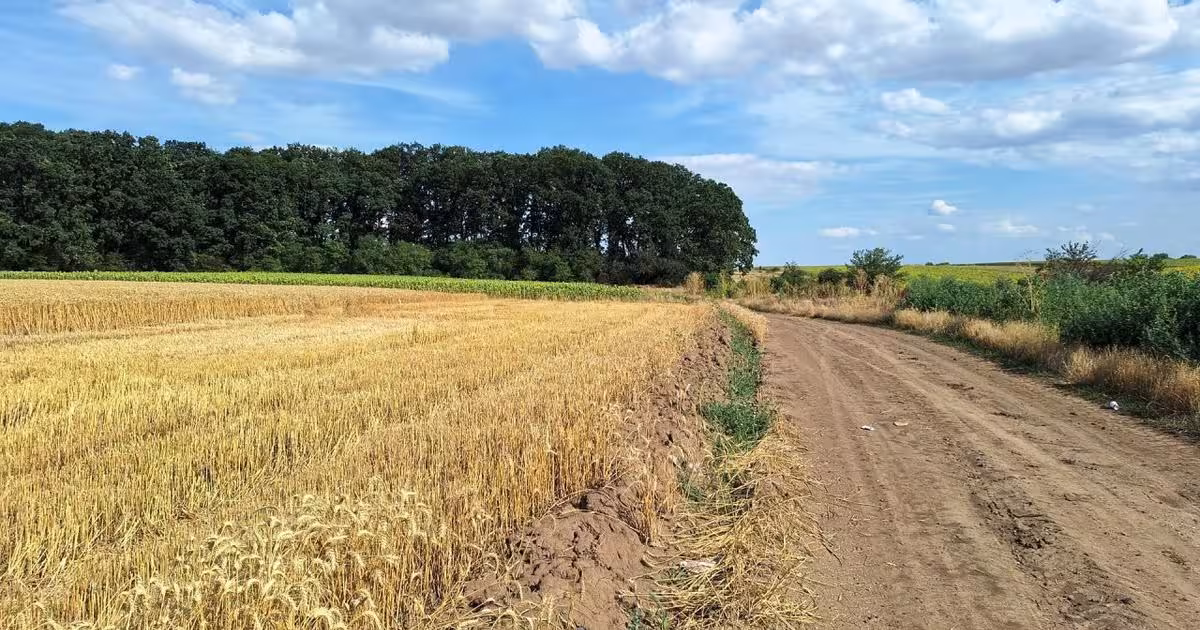 Teren agricol extravilan de 7961 mp, în Frumușani
