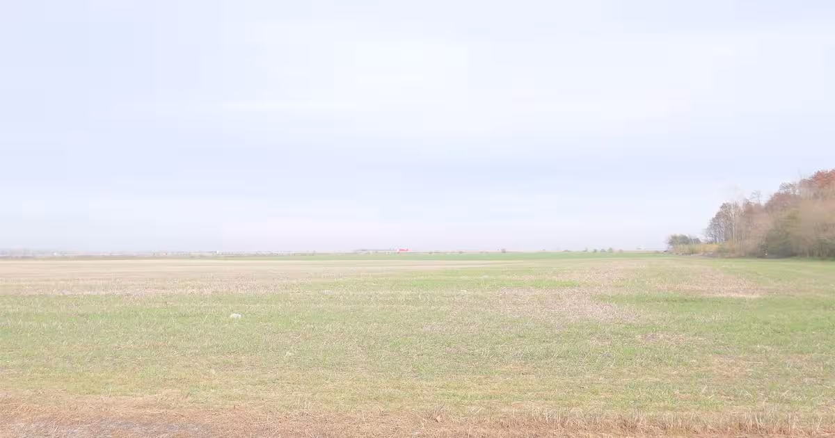 Teren agricol extravilan de 270000 mp, în Gherghița preț necomunicat