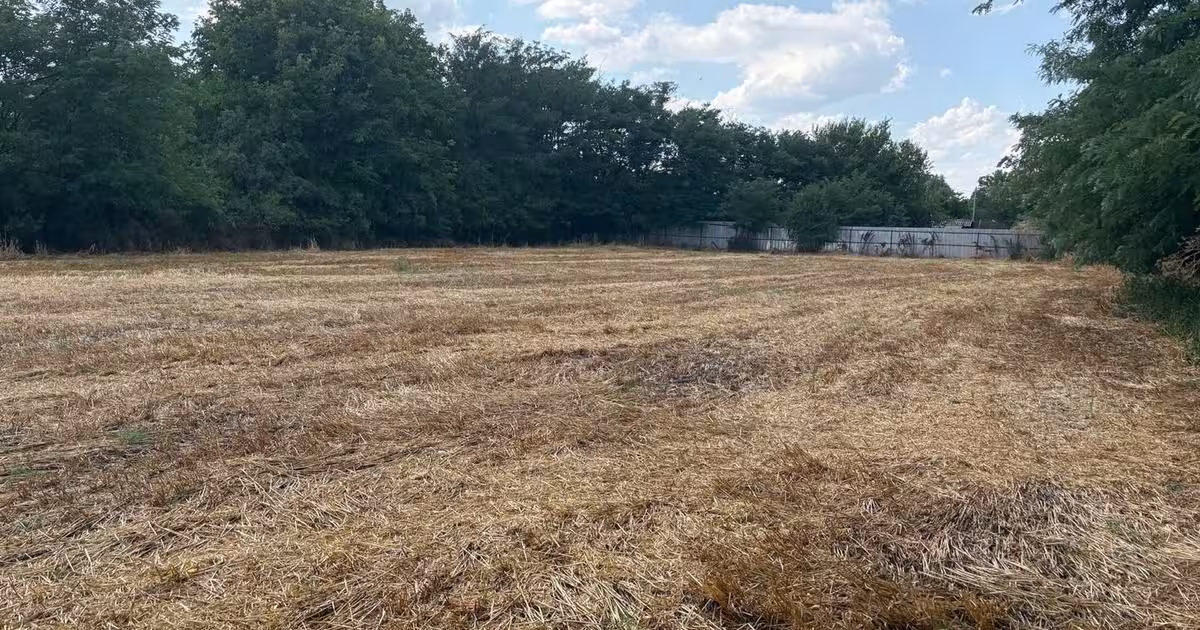 Teren agricol intravilan de 2580 mp, în Hagiești