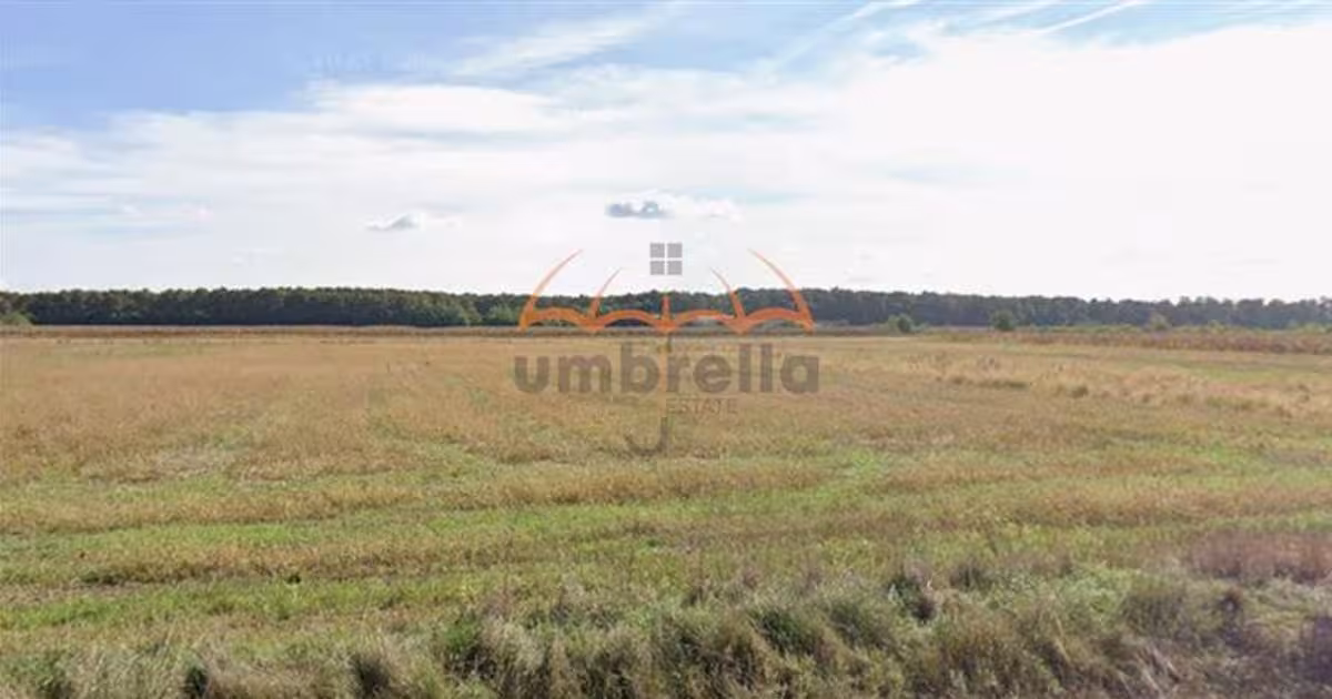 Teren agricol extravilan de 6700 mp, în Hideaga