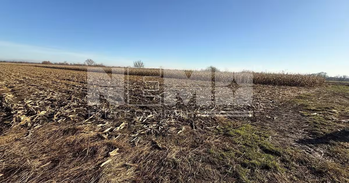 Teren agricol extravilan de 5100 mp, în Horodnic de Jos