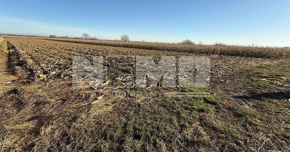 Teren agricol extravilan de 5100 mp, în Horodnic de Jos