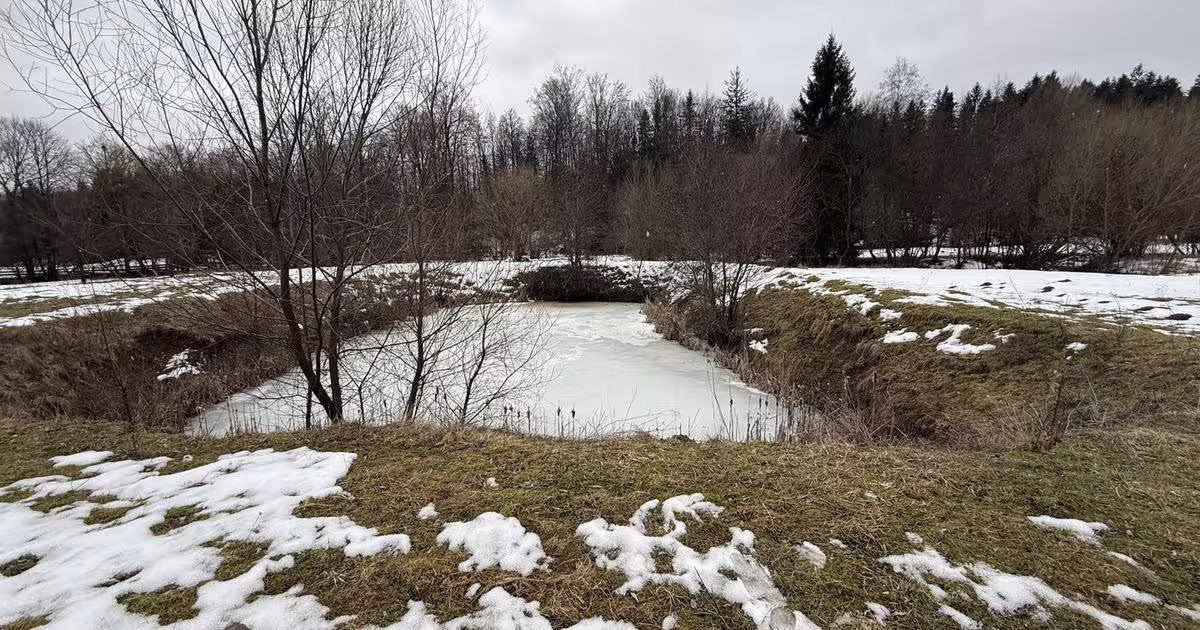 Teren agricol extravilan de 3600 mp, în Horodnic de Sus