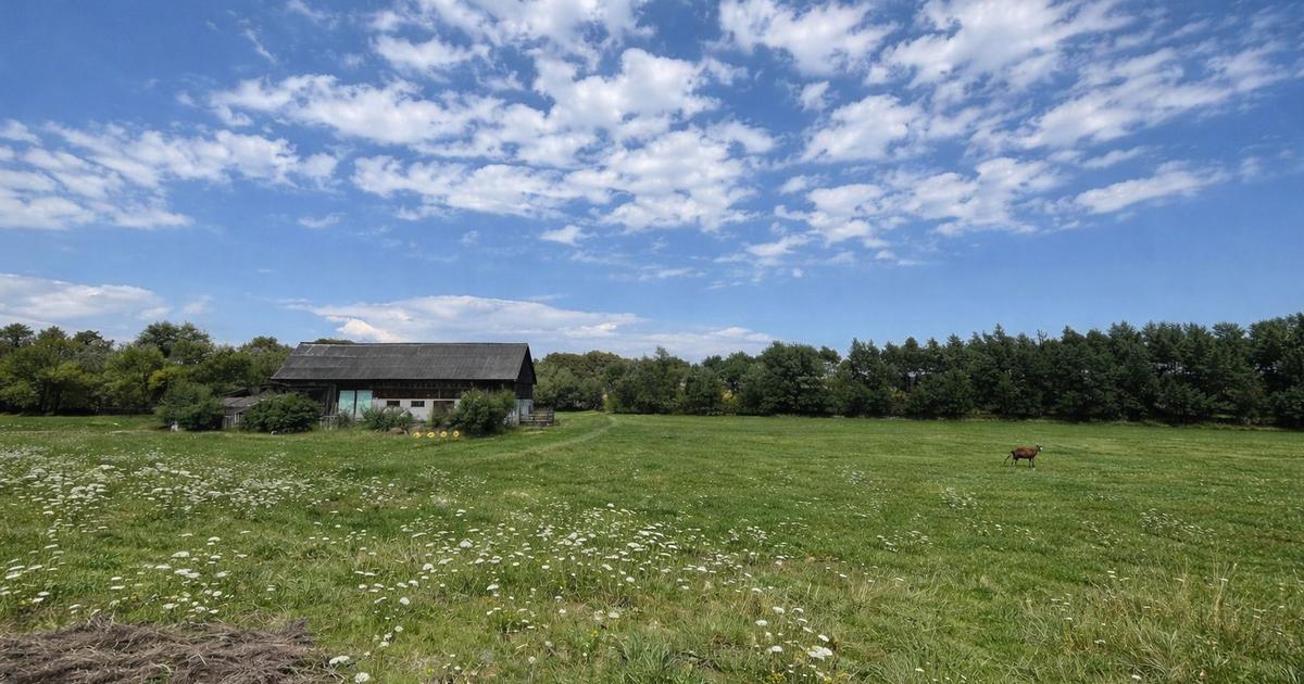 Teren agricol extravilan de 3600 mp, în Horodnic de Sus