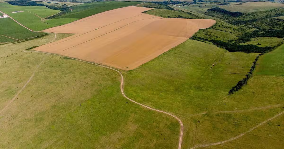 Teren agricol extravilan de 3166800 mp, în Iancu Jianu