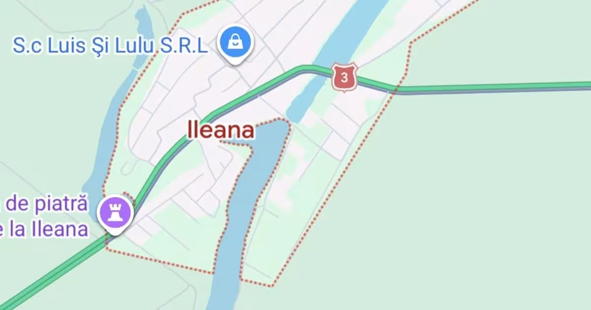 Teren agricol extravilan de 50000 mp, în Ileana