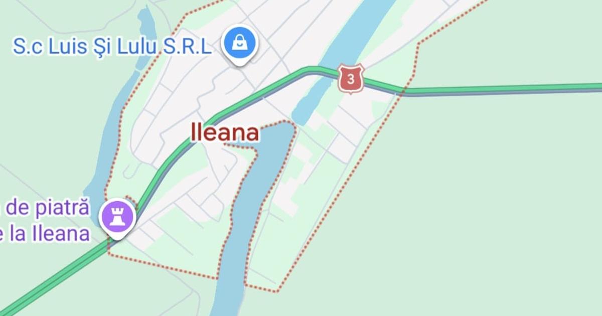 Teren agricol extravilan de 50000 mp, în Ileana