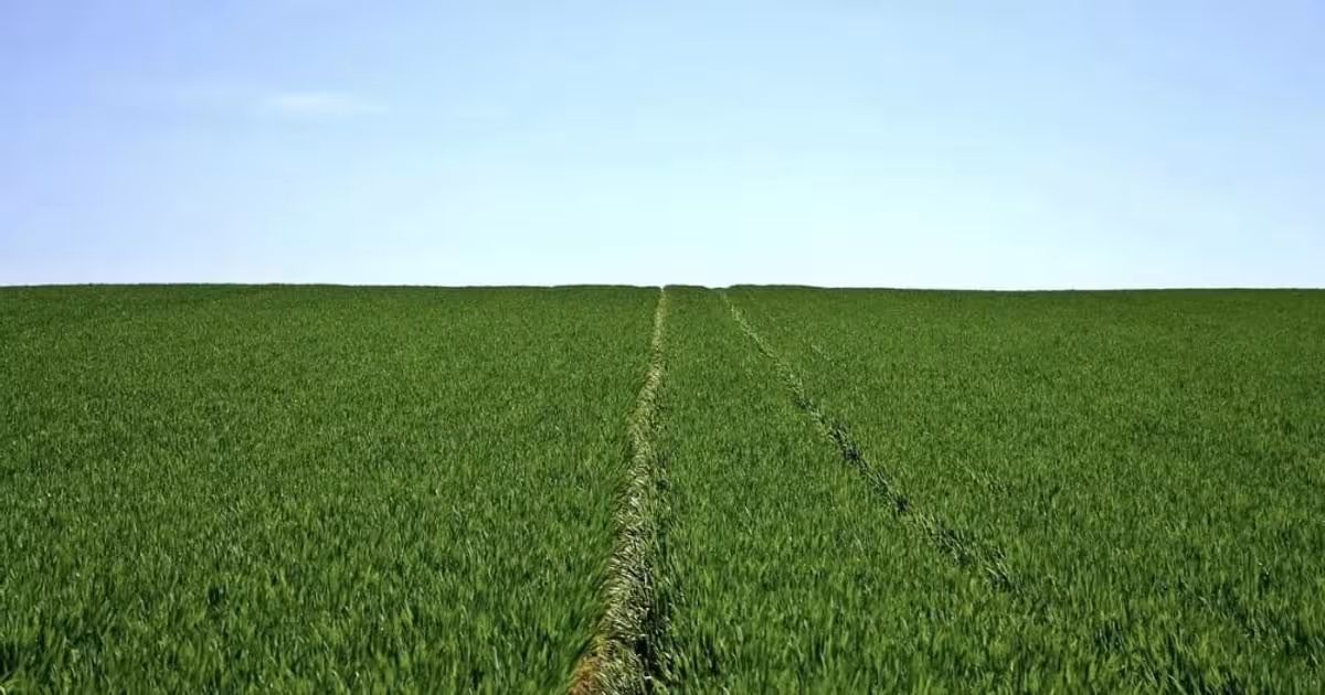 Teren agricol extravilan de 4360000 mp, în Însurăței