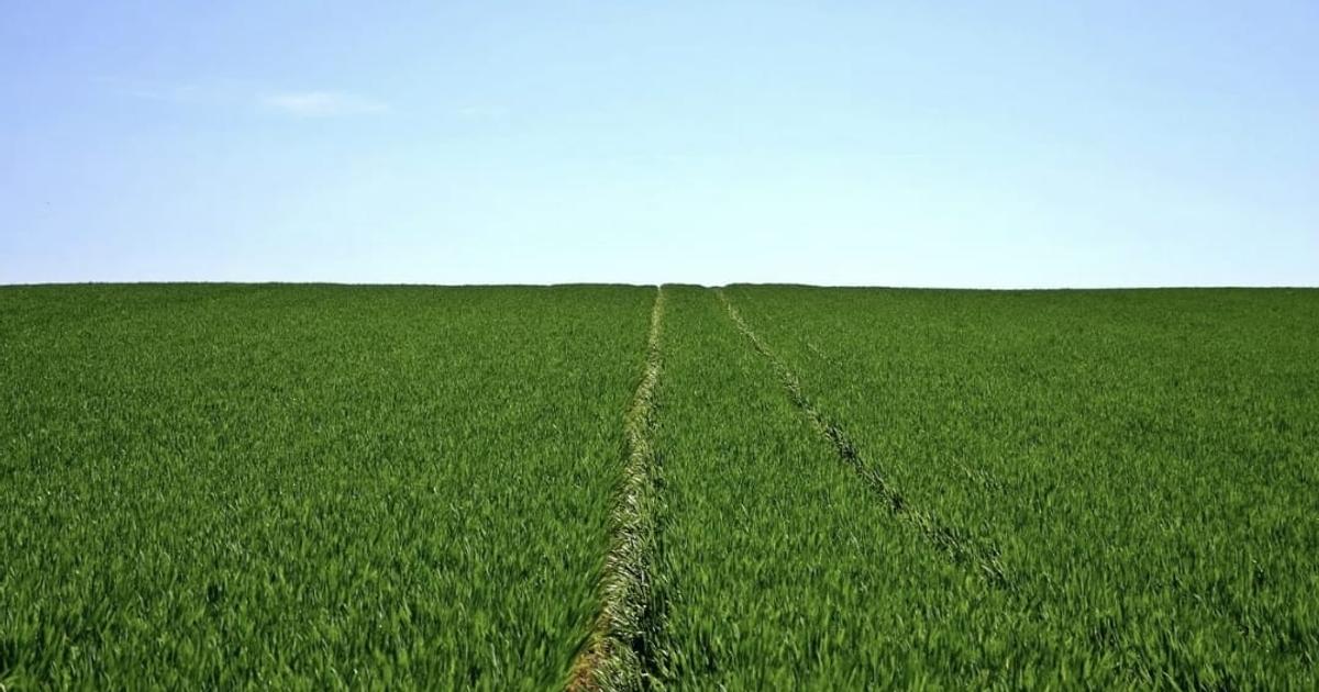 Teren agricol extravilan de 4360000 mp, în Însurăței