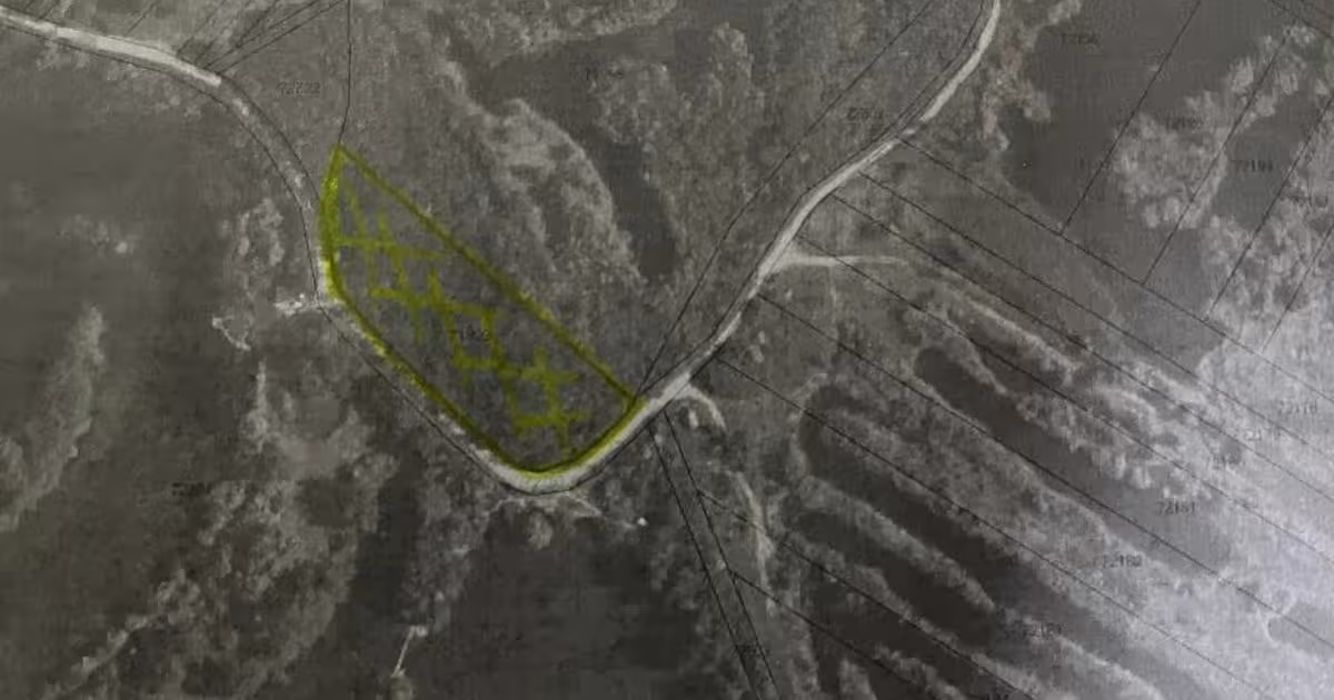 Teren agricol extravilan de 6000 mp, în Ionești