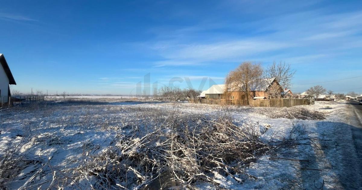 Teren agricol extravilan de 6000 mp, în Ionești