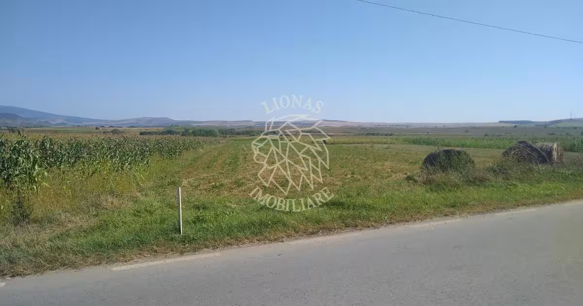 Teren agricol extravilan de 20000 mp, în Jelna