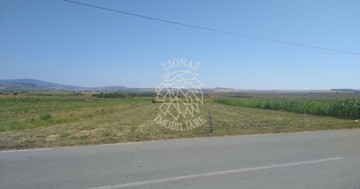 Teren agricol extravilan de 20000 mp, în Jelna