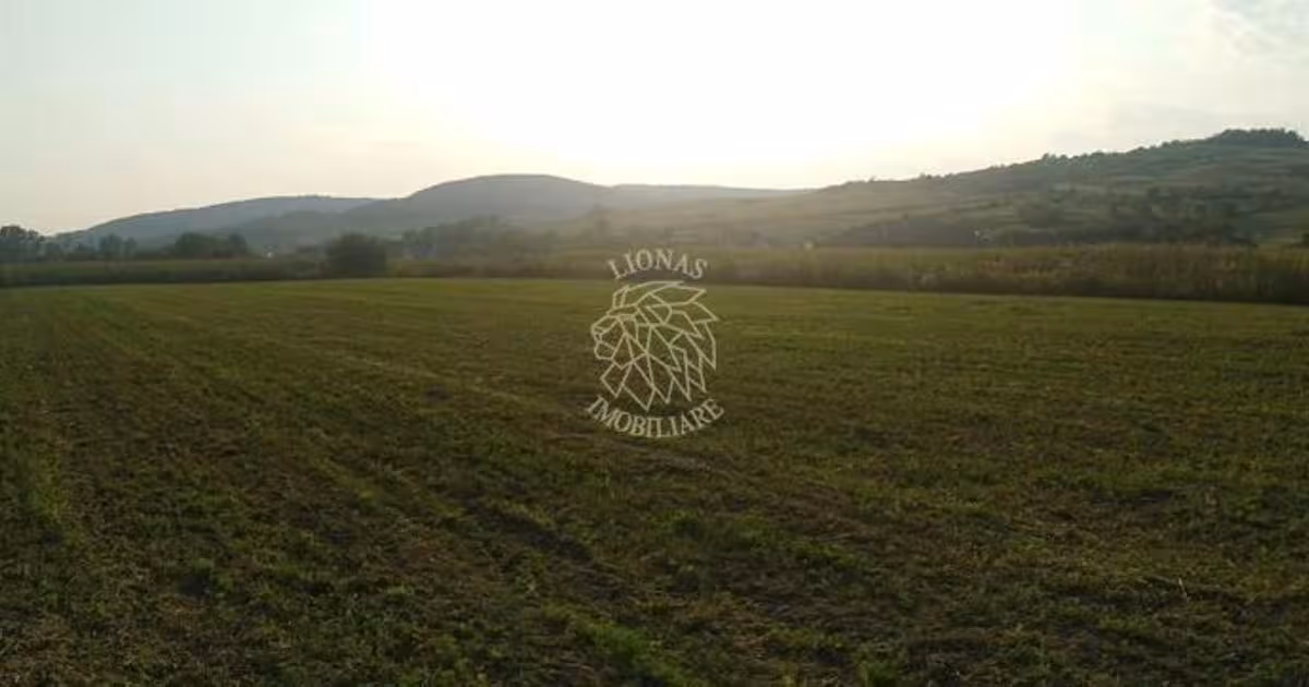 Teren agricol extravilan de 5500 mp, în Jelna