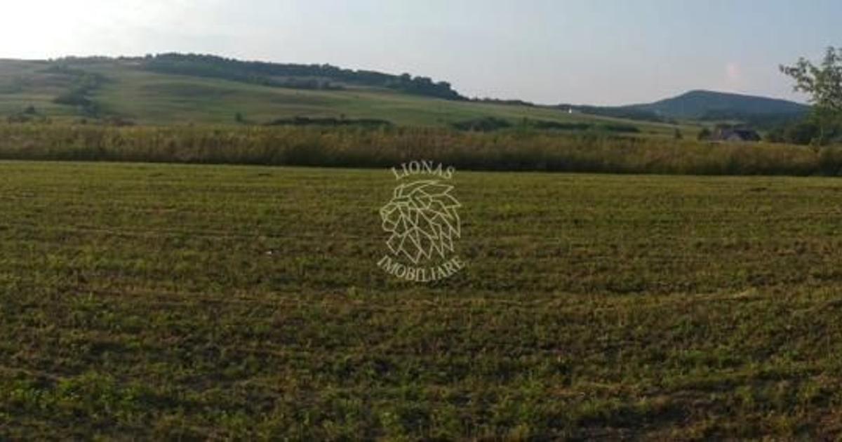 Teren agricol extravilan de 5500 mp, în Jelna