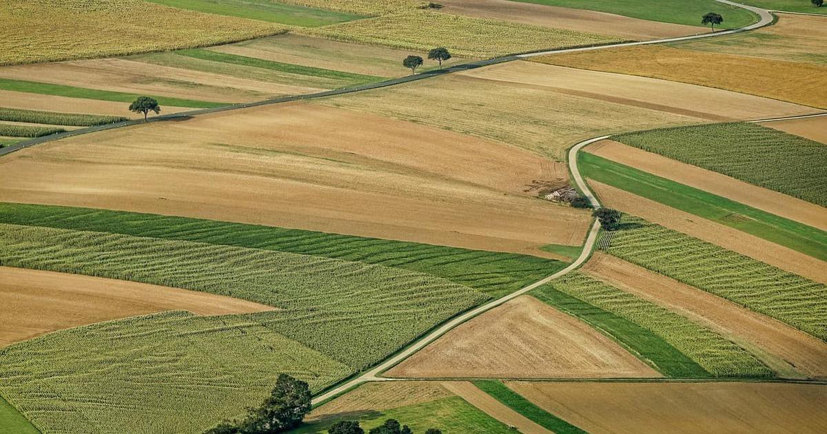 Teren agricol extravilan de 10000 mp, în zona Nord, Lipova
