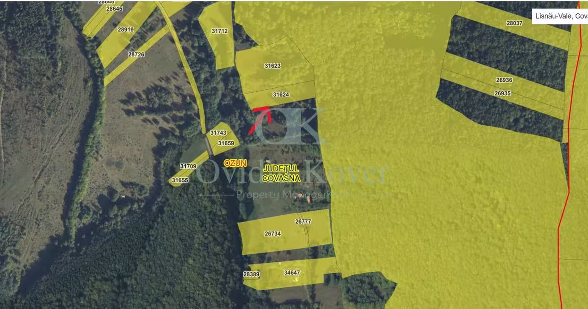 Teren agricol extravilan de 5500 mp, în Lisnău-Vale