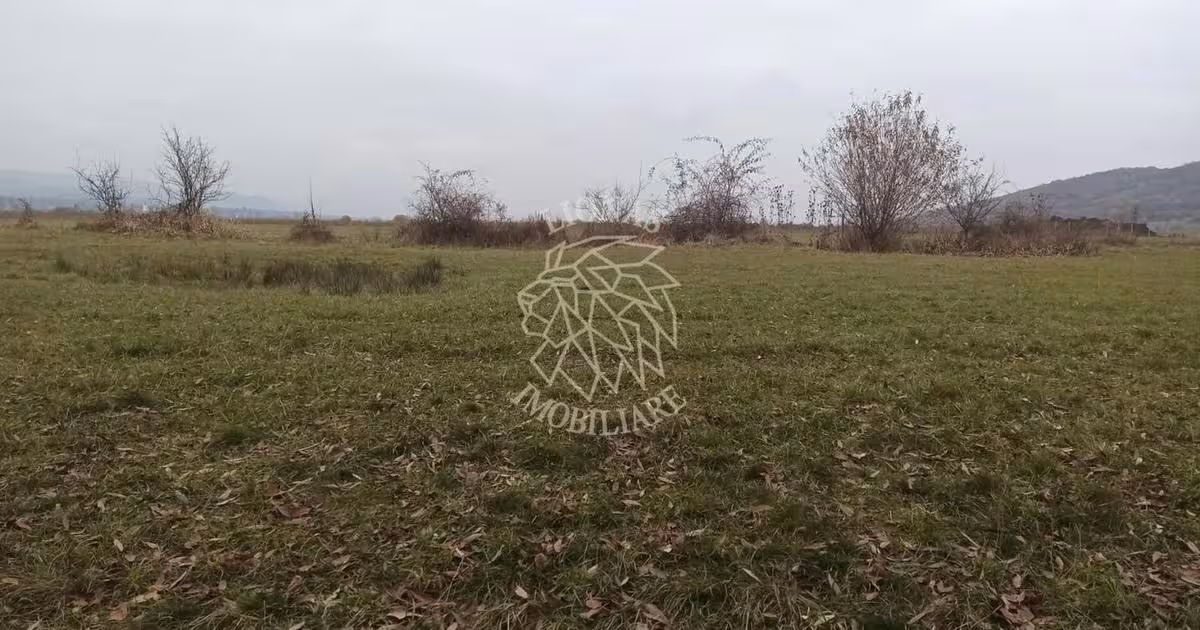 Teren agricol extravilan de 19611 mp, în Livezile