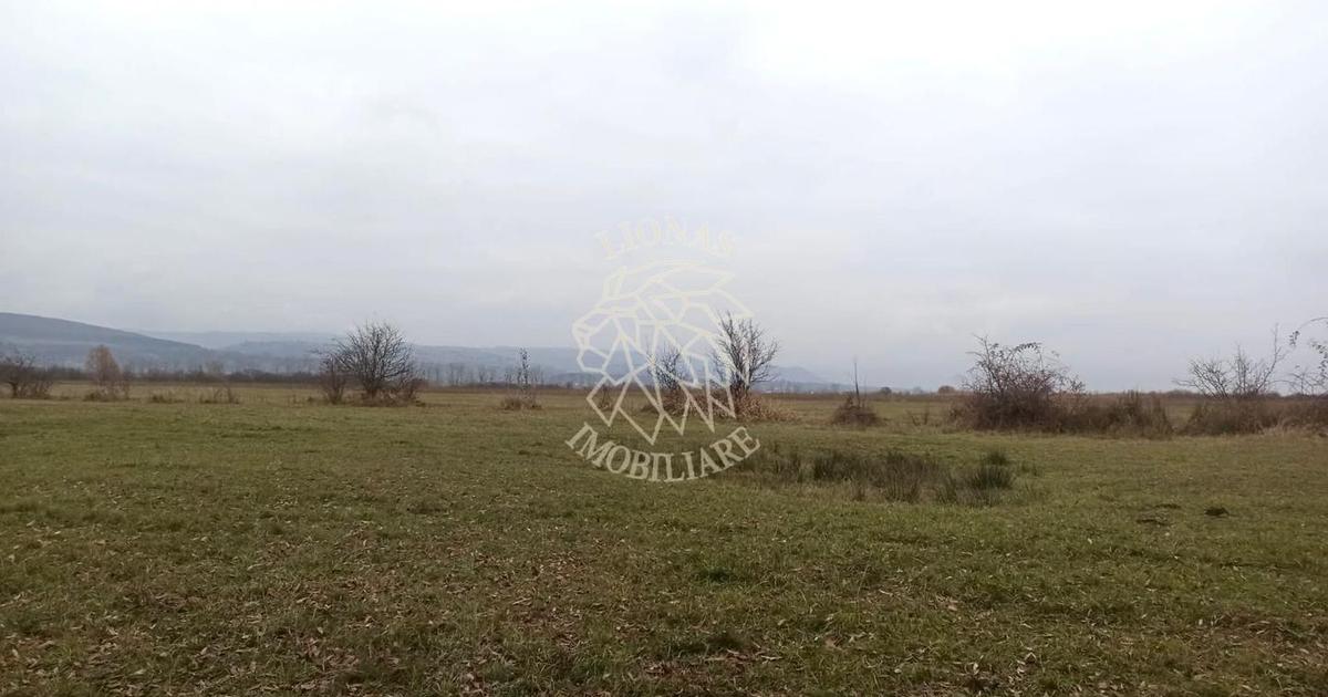 Teren agricol extravilan de 19611 mp, în Livezile