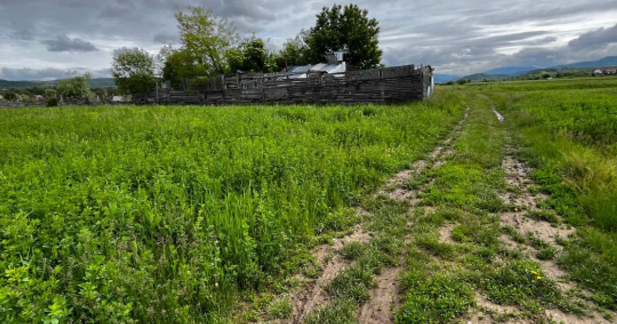 Teren agricol extravilan de 2800 mp, în Livezile