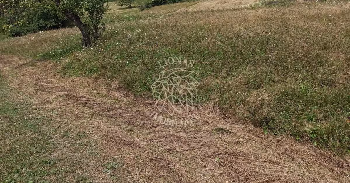 Teren agricol extravilan de 5200 mp, în Livezile