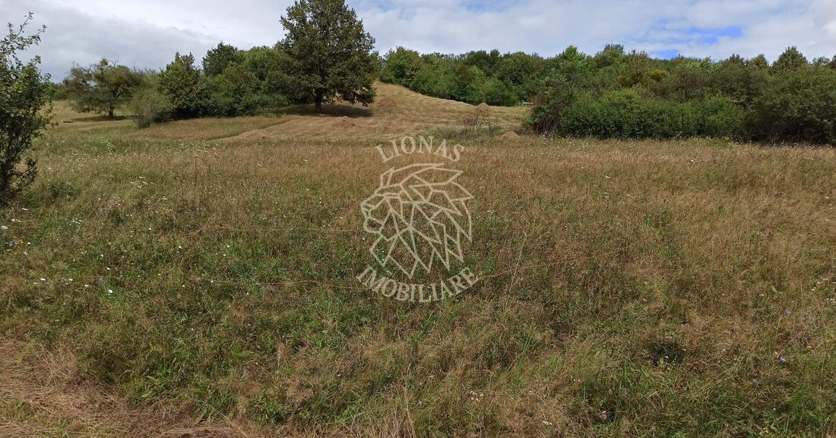 Teren agricol extravilan de 5200 mp, în Livezile