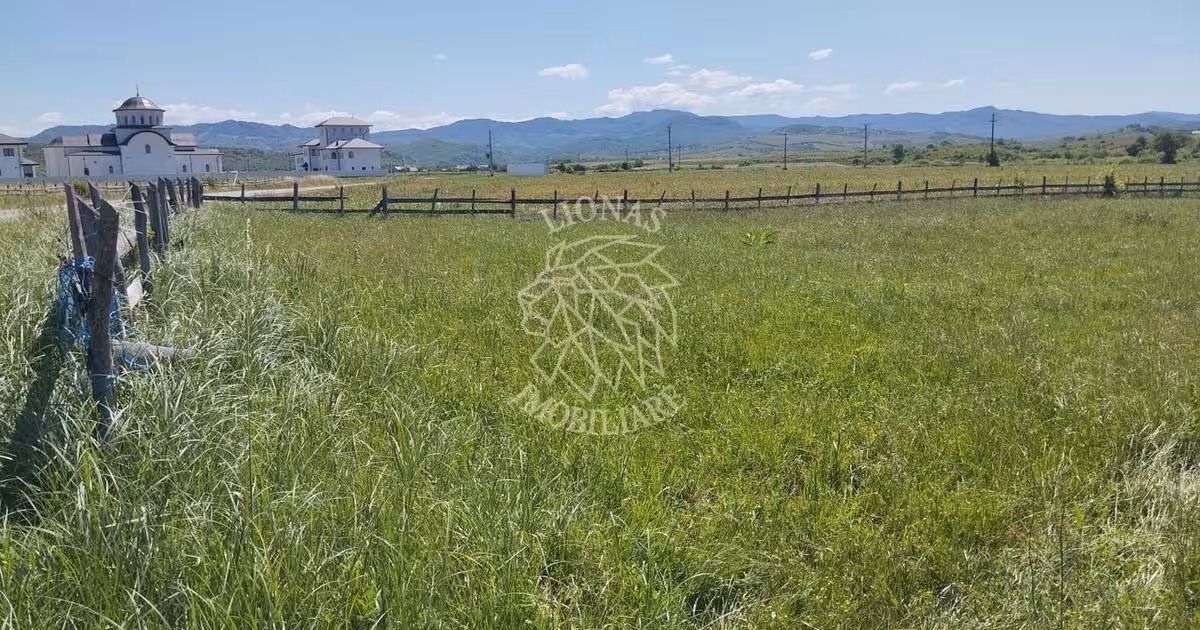 Teren agricol extravilan de 700 mp, în Livezile