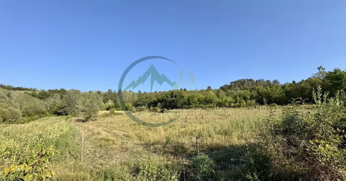 Teren agricol extravilan de 33290 mp, în Lupșa de Sus