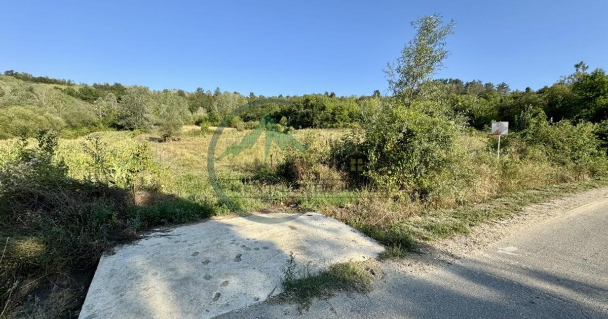 Teren agricol extravilan de 33290 mp, în Lupșa de Sus