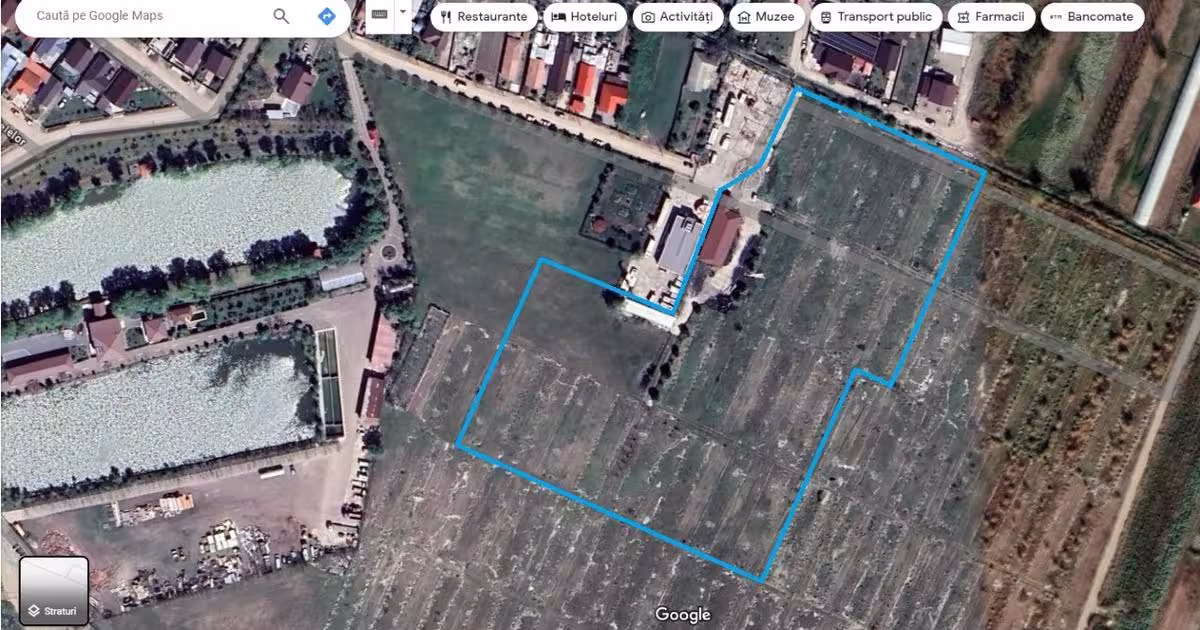 Teren agricol intravilan de 25000 mp, în Mărăcineni