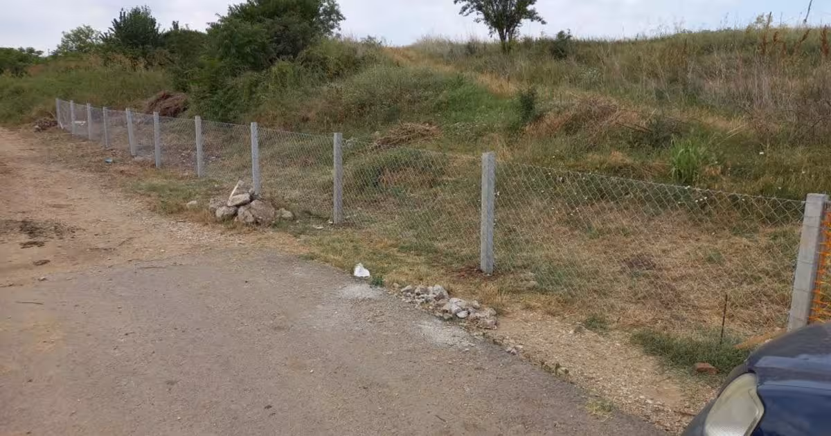 Teren agricol extravilan de 9836 mp, în Mârșa