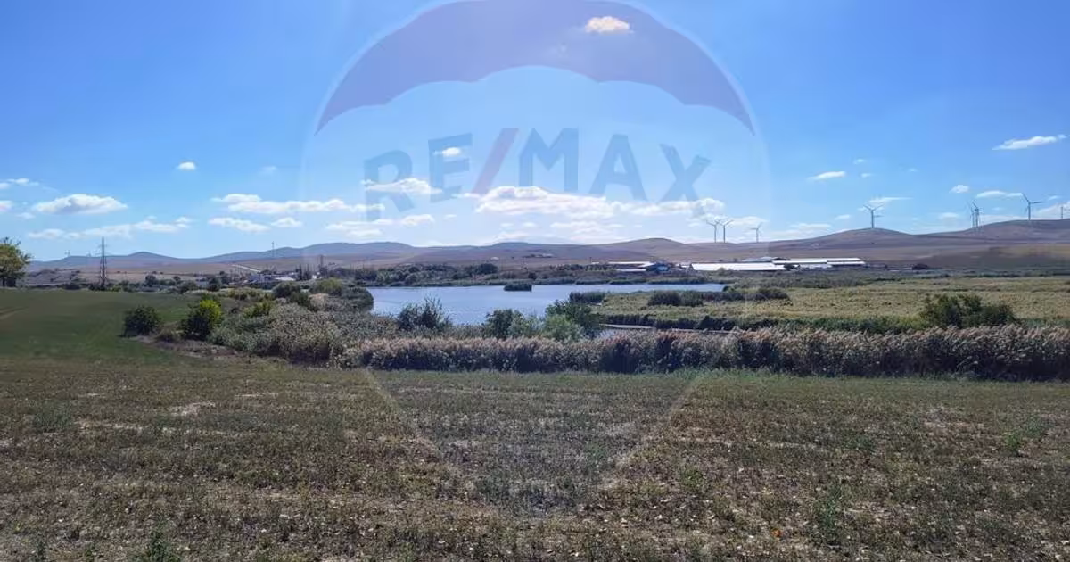 Teren agricol extravilan de 10000 mp, în Mihail Kogălniceanu