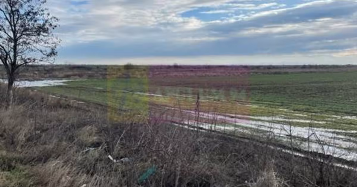 Teren agricol extravilan de 24108 mp, în zona Sud-Vest, Mihăilești