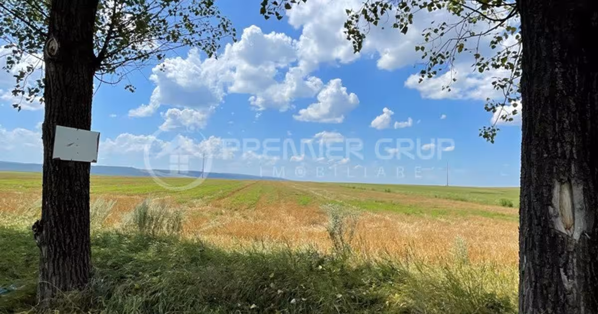 Teren agricol extravilan de 7000 mp, în Miroslava